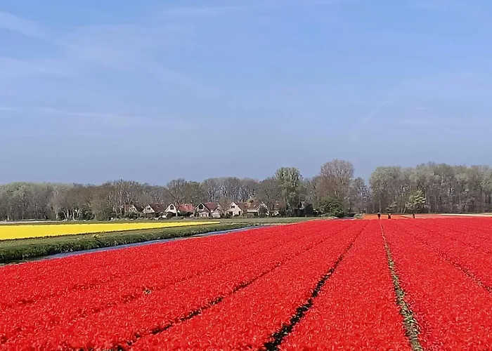 Parco vacanze Stern Comfort-3 By Interhome