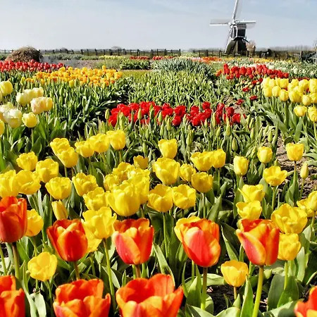 Stern Comfort-3 By Interhome פארק נופש