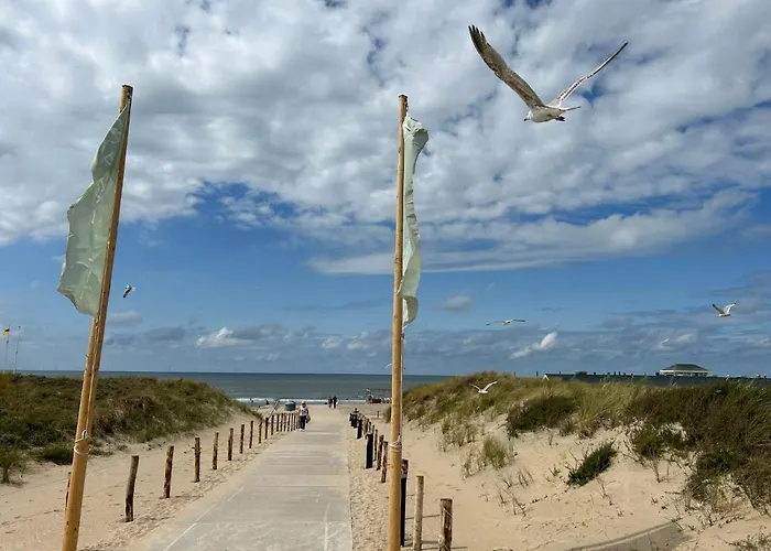 Stern Comfort-3 By Interhome Aldeamento Turístico Noordwijkerhout