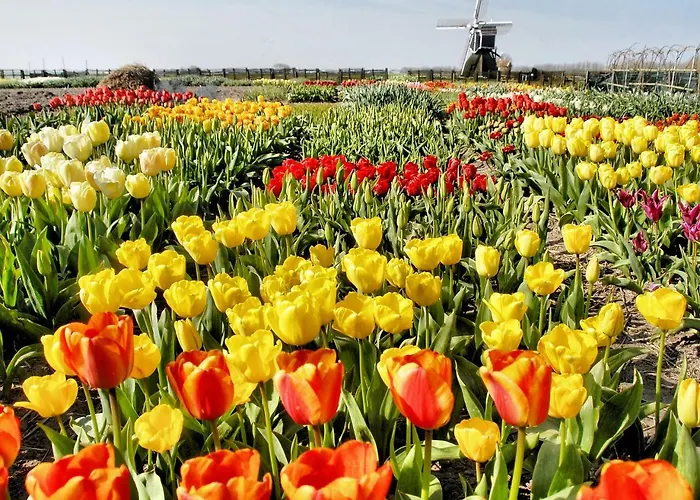 Stern Comfort-3 By Interhome Aldeamento Turístico